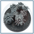Canoptekh Scarab Swarm B