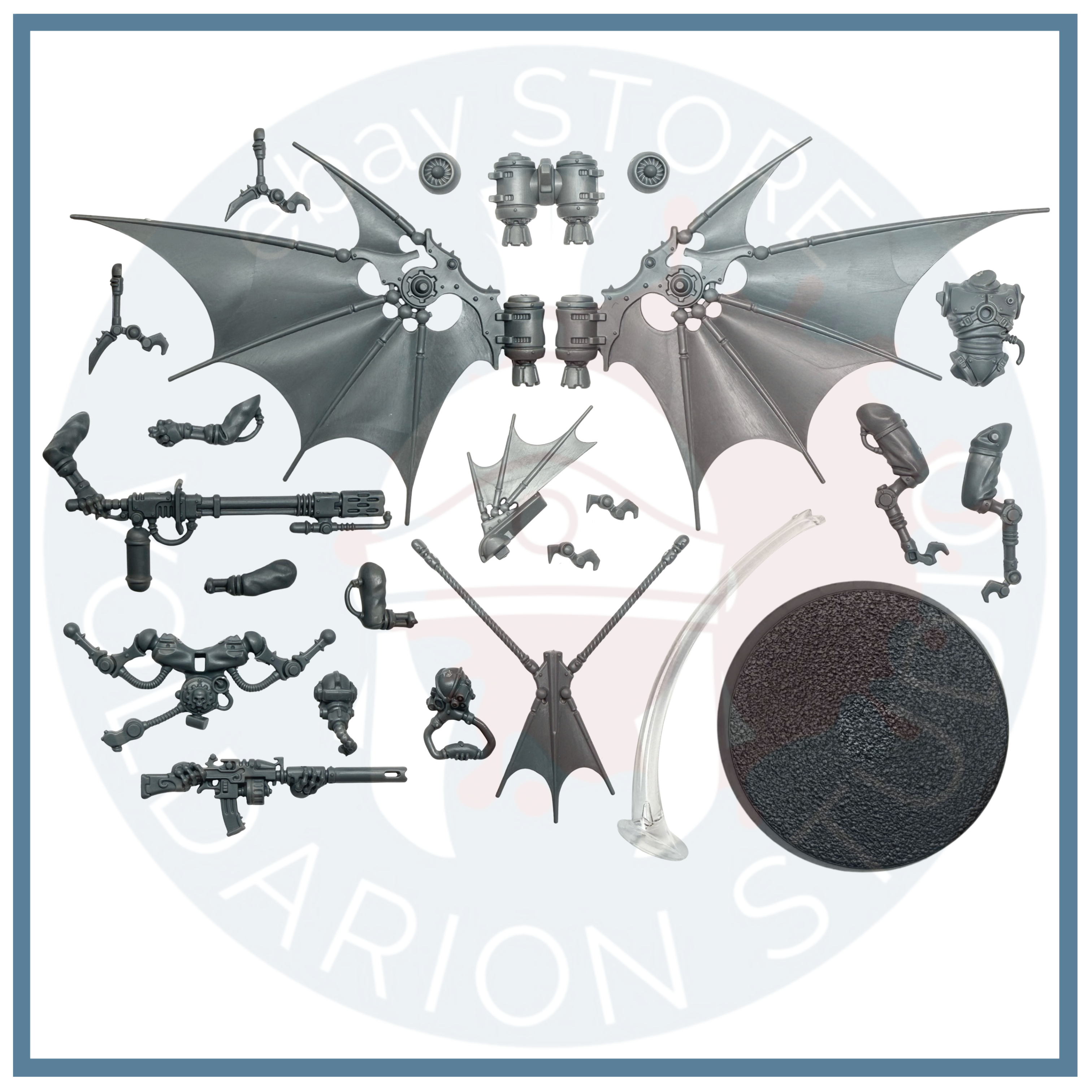 Pteraxii D