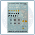 Salamanders Transfer Sheet