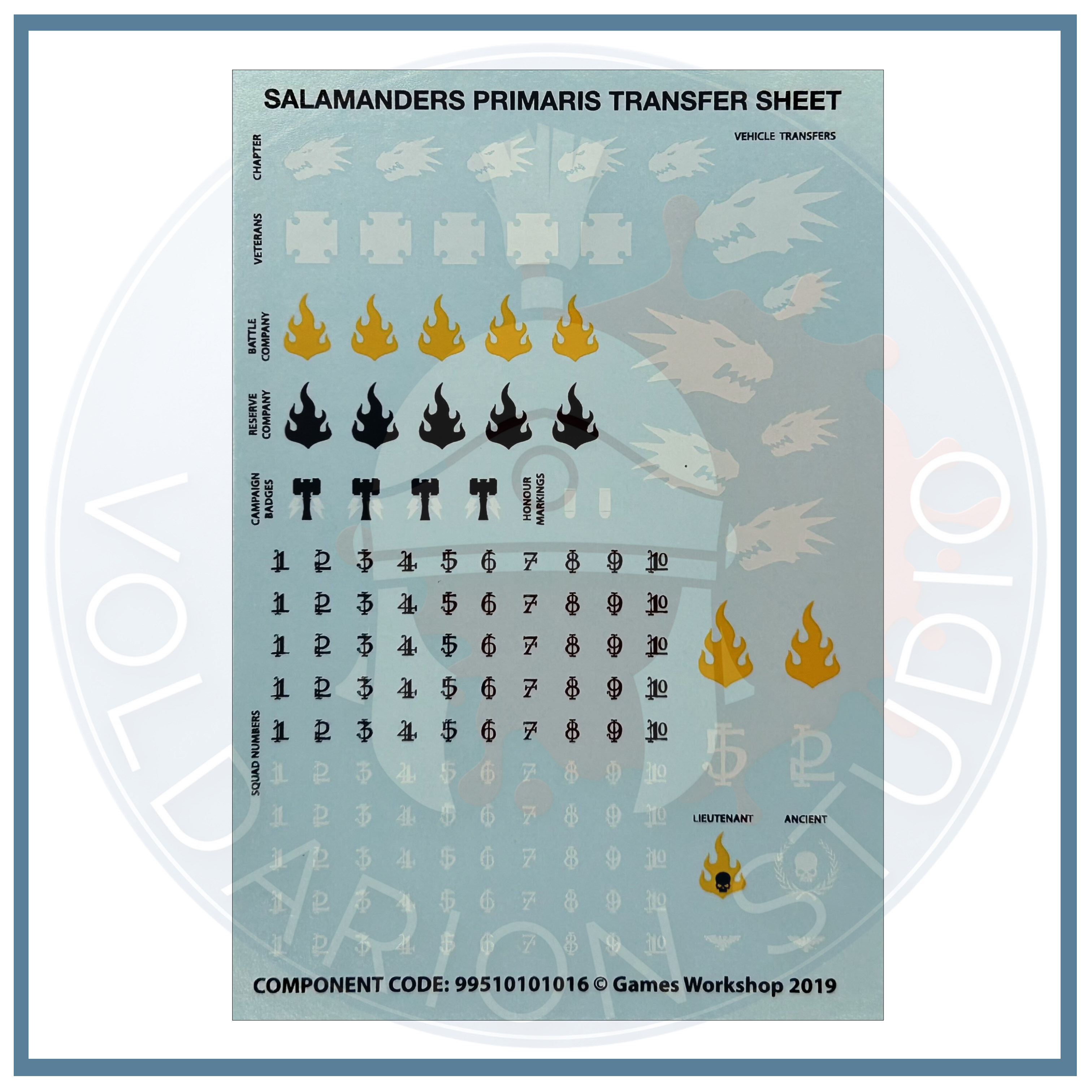 Salamanders Transfer Sheet